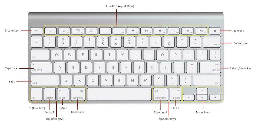 how to find keyboard shortcuts for word on mac